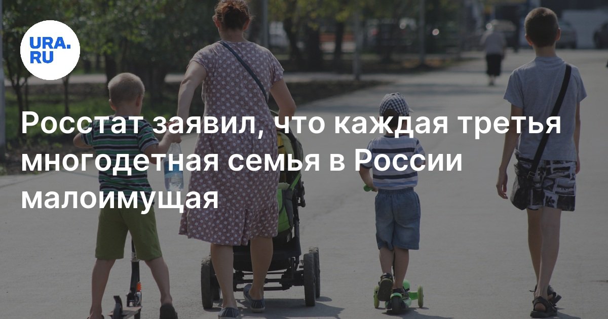 Каждая третья многодетная семья в России малоимущая: Росстат