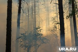 В Дагестане прогнозируют пожароопасность пятого класса