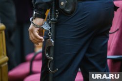 Кучера приговорили к тюремному заключению