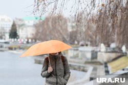 В Прикамье ожидаются дожди с грозами