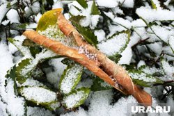 Зимние осадки фиксируются в районе Златоуста