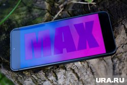 Российский бизнес не обяжут работать с клиентами только через MAX