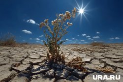 Школьники представят более 200 работ по улучшению экологии