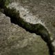 На Камчатку обрушилось сильнейшее за 10-летия землетрясение, объявлена угроза цунами: главное
