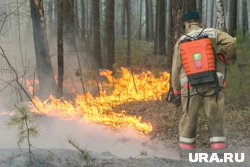 Большинство пожаров ликивдированы за один день (архивное фото) 