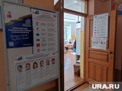 Почти каждый четвертый избирательно проголосовал на выборах в Челябинской области 