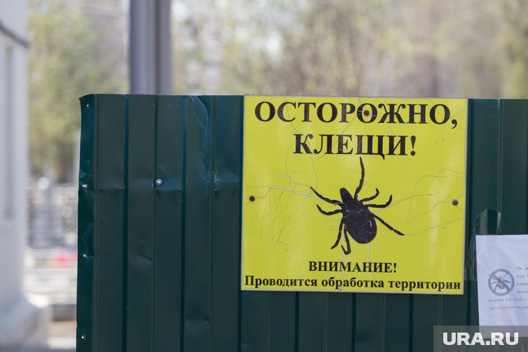 Более 3,8 тысяч случаев связаны с детьми
