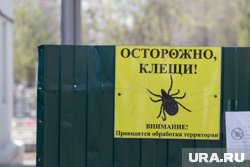 Более 3,8 тысяч случаев связаны с детьми