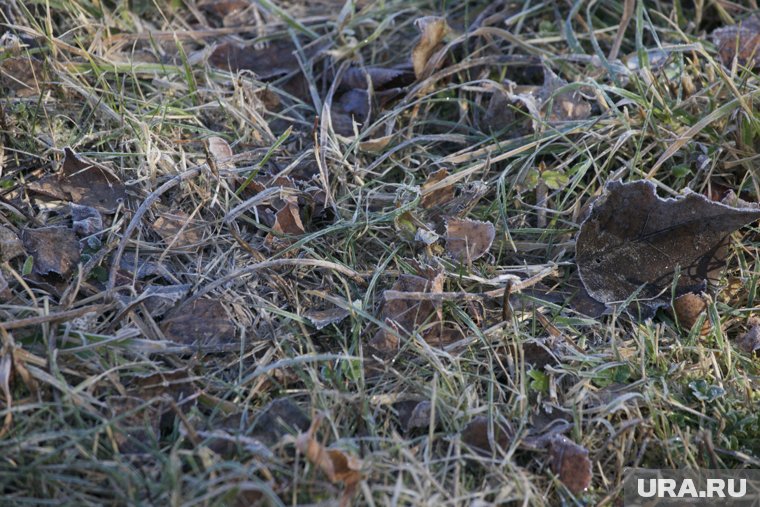 В южной части региона возможны заморозки до -2 градусов