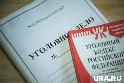 Водителю грозит колония за смертельное ДТП в Кургане