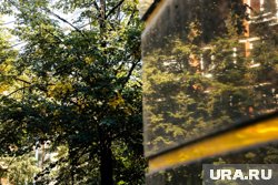 Теплая погода ожидается в Курганской области