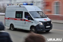 Мальчик получил травму спины в Кетовской школе