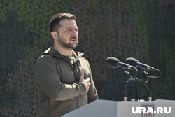 Владимир Зеленский поблагодарил Дональда Трампа за сокращение дедлайна