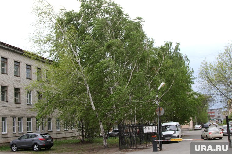 В Пуровском районе ЯНАО 2 июня ветер усилится до 20 м/с