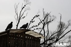 Что можно отметить 13 сентября 2025 года
