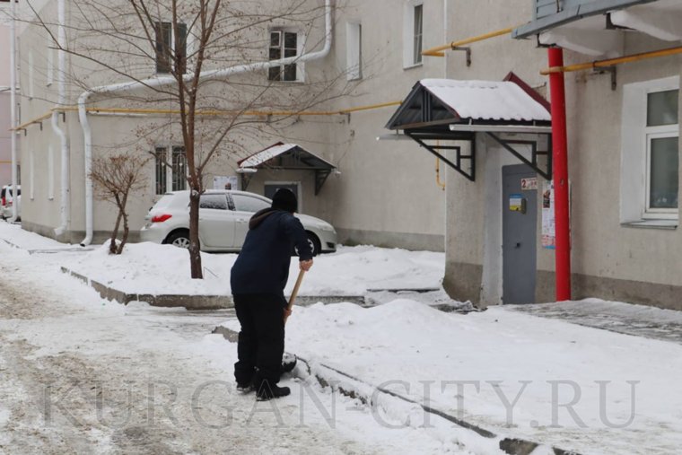 На Гоголя и Ленина были сделаны замечания представителям городских департаментов из-за веток и мусорных площадок