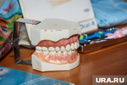 Ученые повысили прочность и биосовместимость зубных имплантов
