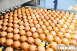 ЦМАКП предложил заморозить стоимость ряда социально значимых продуктов питания