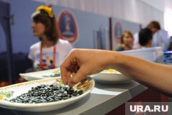 Челябинские семечки теперь не поставляются в Германию
