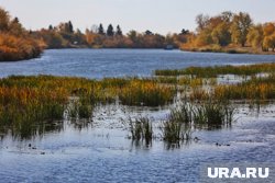 В Кургане на реке Тобол утонул 63-летний мужчина