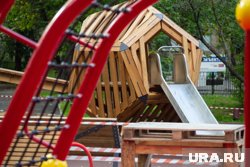 Нападение на пенсионерку с ребенком произошло на детской площадке в Академическом