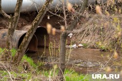 После прочистки заиленных труб болота будут осушены (архивное фото)