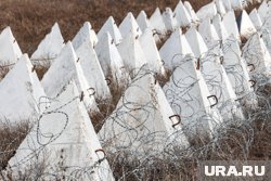 Уголовное дело завели по результатам экспертизы «зубов дракона»