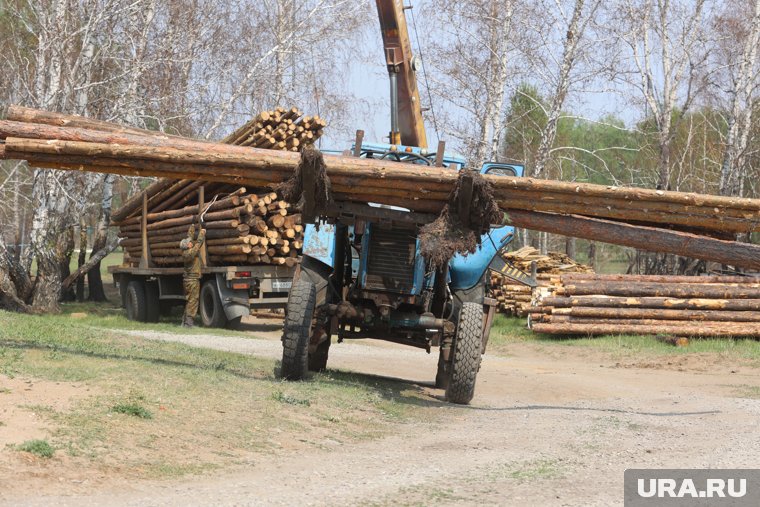 Курганскому лесорубу присудили более миллиона рублей компенсации