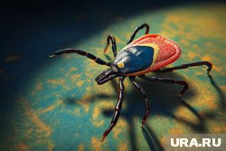 Среди пострадавших - более 2,7 тысяч детей