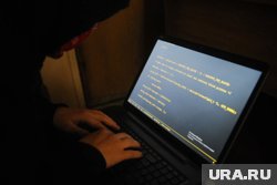 Сенатор Совфеда от ЯНАО Ситников и глава Губкинского Бандурко подверглись атакам мошенников