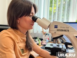Автором исследования является челябинский врач Ирина Четер