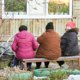 Россиянам пообещали увеличить пенсию уже этим летом: кого затронет новая индексация