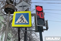 По предварительным данным, пешеходы переходили проезжую часть на красный сигнал светофора