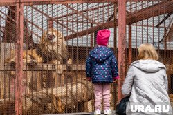 Многодетные семьи смогут рассчитывать на новые льготы