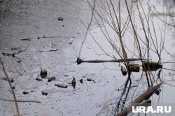 Мазут может частично растворяться в воде, рассказал эколог