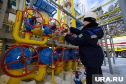 Участники «Олимпа» начали испытания с теории 