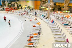 Очевидцы заметили таракана в шкафчиках и в зоне кафе 