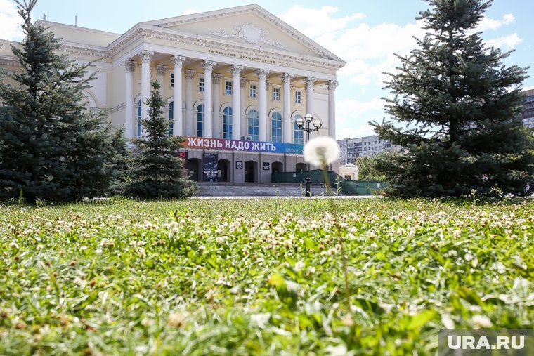 Новый директор ТБДТ будет назначен к началу театрального сезона