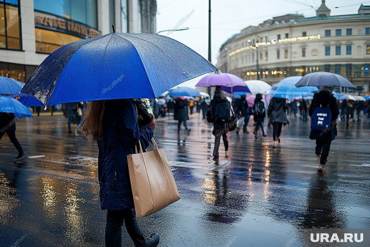 В августе ожидаются частые дожди в центральных регионах России