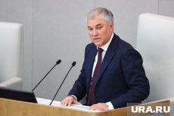 Володин отправил ответное обращение президенту Бундестага ФРГ