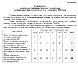 Информация о состоянии производственного травматизма в Курганской области в 1 полугодии 2025 года