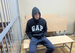 Молодой человек вину признал в полном объеме