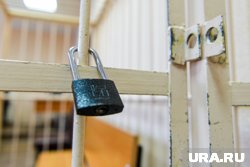 Бизнесмена Вейсалли, давшего показания на полицейских, выпустили из СИЗО Кургана