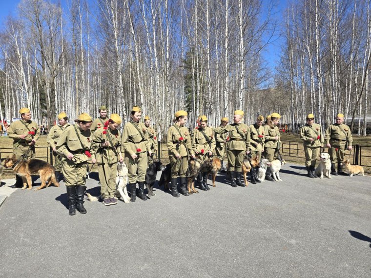 В Нижневартовске впервые в параде Победы приняли участие служебные собаки
