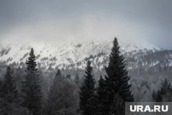 Спасатели советуют перед походом в тайгу оповестить об этом своих близких