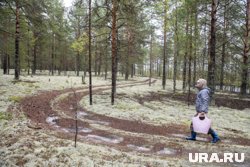Пермяки рассказали, как найти много грибов в лесу
