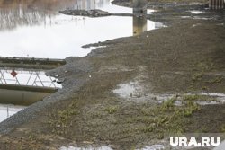 Как труп оказался на берегу, еще предстоит выяснить (архивное фото)