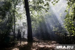 Кладбище находится в самом центре города