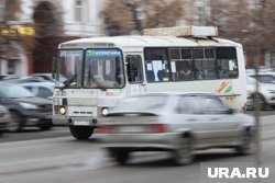 Автобусы вышли на линию