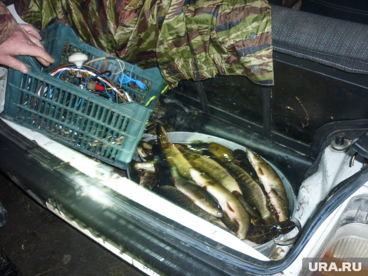 Мужчины занимались браконьерством в Очерском районе